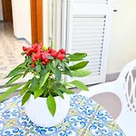 Отель Casthotels Tramonto D'oro Terme
